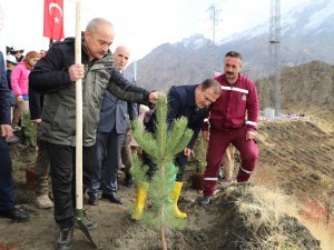 Hakkari kent ormanına 2 bin 500 fidan dikildi