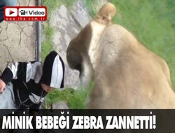 Bebeği zebra sanınca!