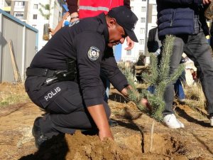 2 bin 700 fidan toprakla buluşturuldu