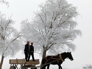 Yüksek kesimlerinde kar yağışı