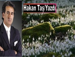 Seninle sonumuz yok
