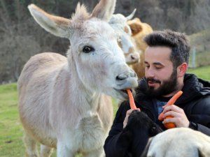 Eşekle arkadaşlığı herkesi kıskandırıyor
