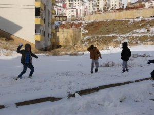 Kızaklarla kayma keyfini yaşadılar