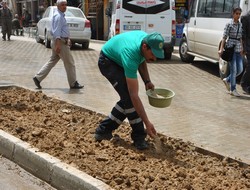 Şemdinli çarşısı yeşillendiriliyor