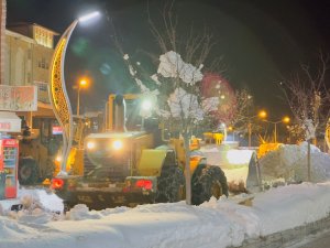 Hakkari merkezde karla mücadele sürüyor