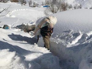 Şırnak'tan deprem bölgesine yem desteği