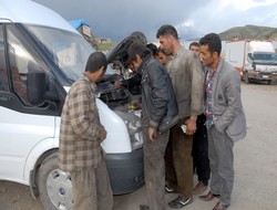 Araç motorunda kuş yuvası