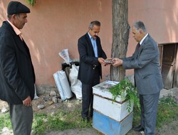 29 mayıs arı günü