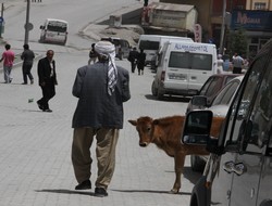 Hayvan sahiplerine uyarı