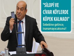 Slopi'de köpek kalmadı