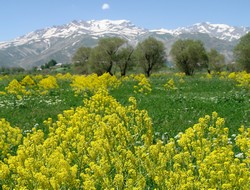 Burası Yüksekova