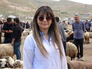 Veteriner hekimden 'kurbanlık' önerisi