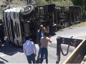 TIR devrildi: Şoför ve 150 koyun öldü