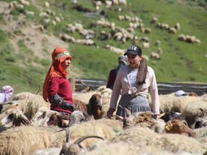 İran sınırındaki berivanlara akaryakıt desteği