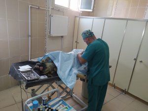 Hakkari'deki can dostlara kuduz aşısı yapıldı