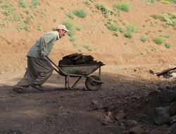 Köylerde tezek kesimi başladı