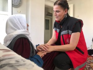 Hakkari'de yaşlı çınarlar YADES ile hayat buluyor