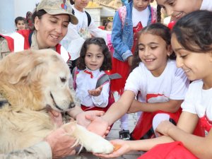Jandarma köpeği Boyut ile çocukların buluşması