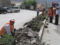 Ağaçlandırma çalışmaları