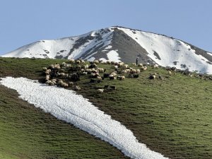 Gever'de iki mevsim bir arada yaşanıyor