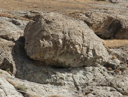 Ölümle burun buruna yaşıyorlar