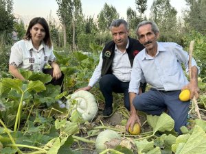 Çiftçi baba tüm çocuklarını okuttu