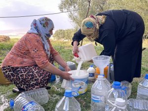 Süt merkezi Yüksekova'da kışlık süt mesaisi