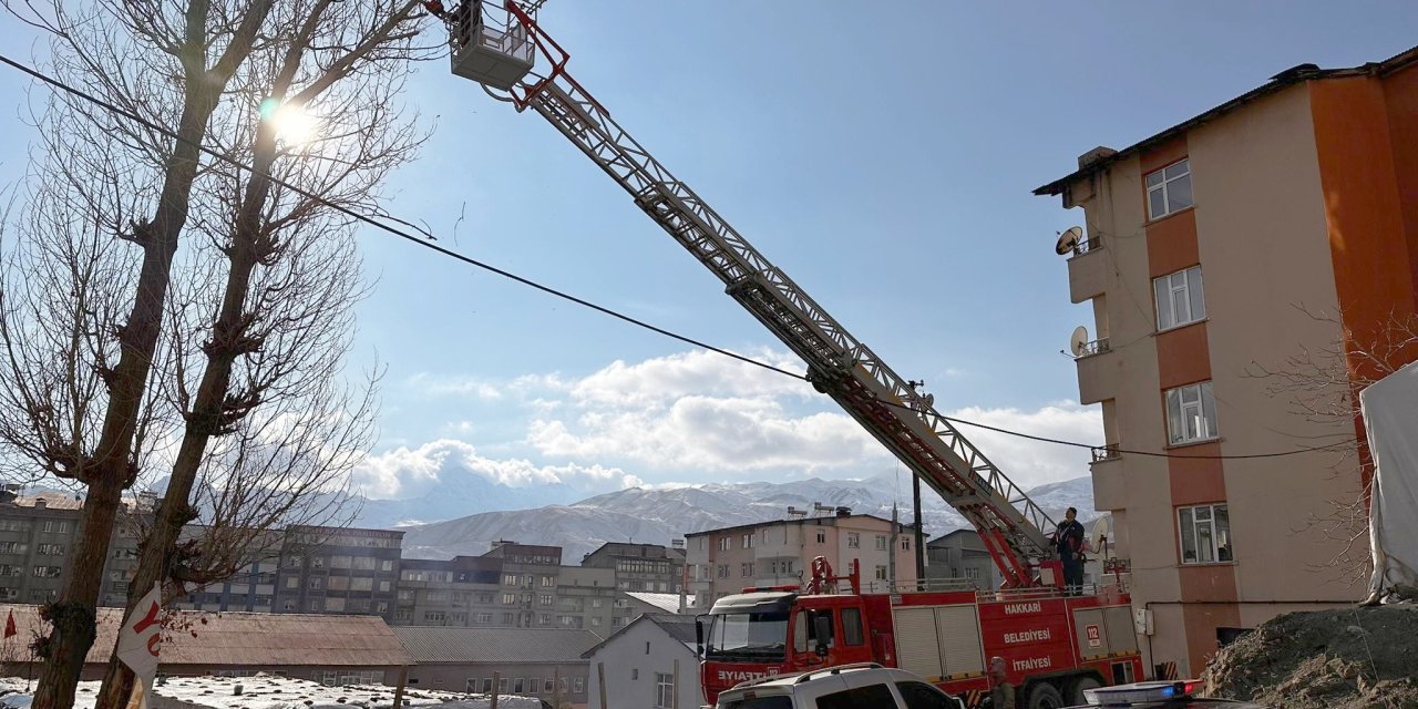 Hakkari belediyesi tehlike saçan ağaçları kesti