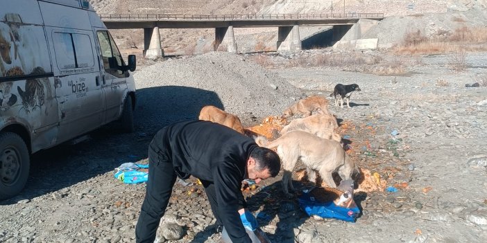 Hakkari’de sahipsiz can dostlar unutulmadı