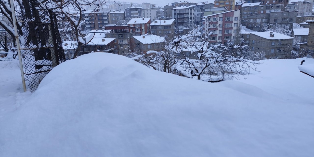 Hakkari’de 190 yerleşim yolu ulaşıma kapandı