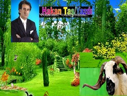 Bayram'mı var!