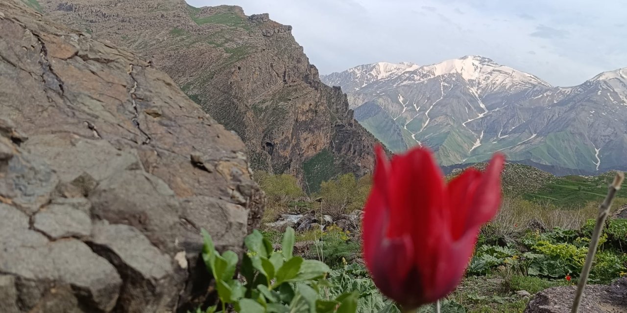 Toprağa Değen Vicdan