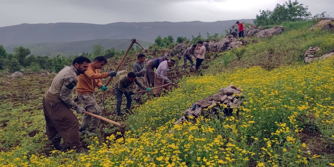 Derecik'te İmece Usulü Yardımlaşma