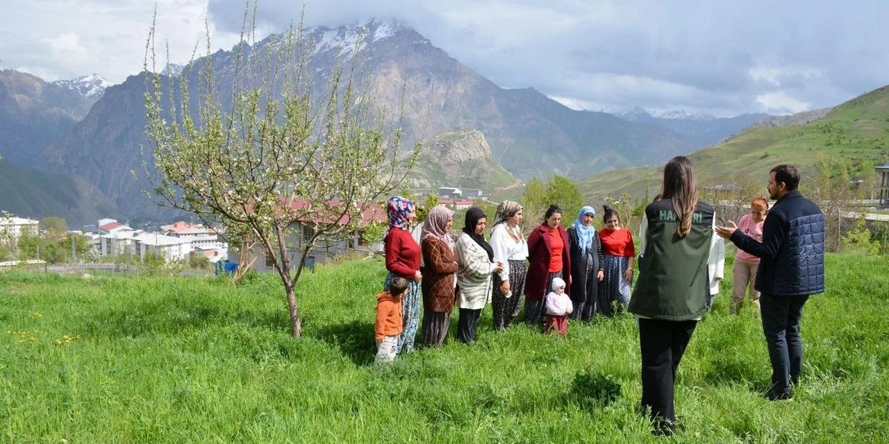 Hakkari'de ''Safran Yetiştiriciliğini Geliştirme Projesi''