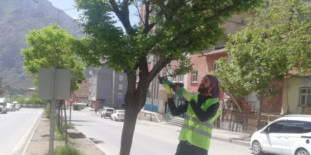 Belediyeden Yeşil Alan Atağı