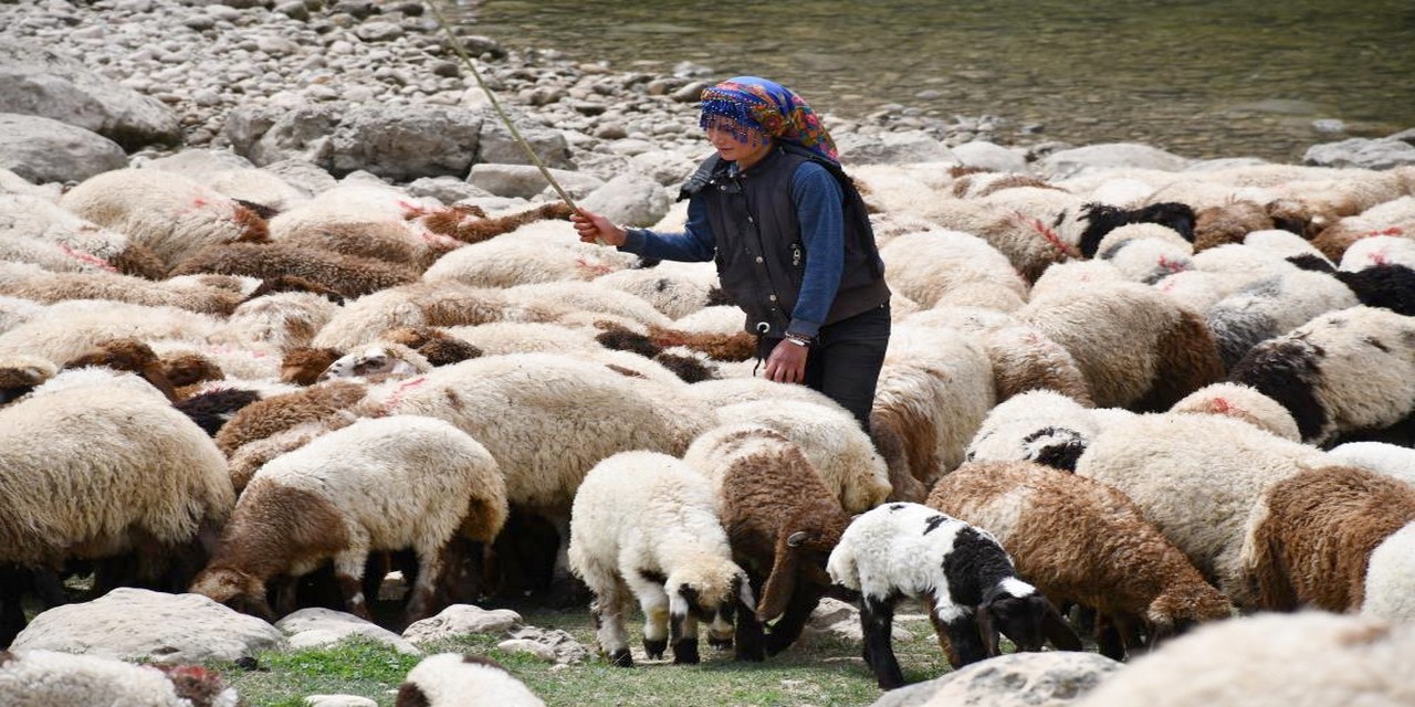 16 yaşındaki çoban Rozerin hiç oyuncağım olmadı