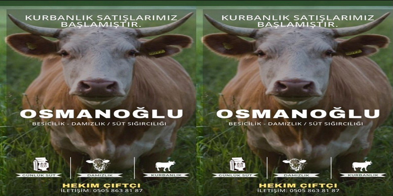 Hakkari’de 10 Yıllık Emek: Hekim Çiftçi Kurbanlık satışlarına başladı