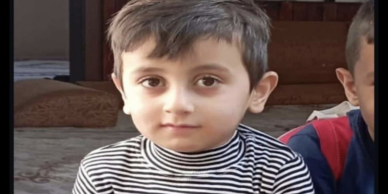 Erik Ağacına Çıkan Çocuk Havuza Düşerek Boğuldu