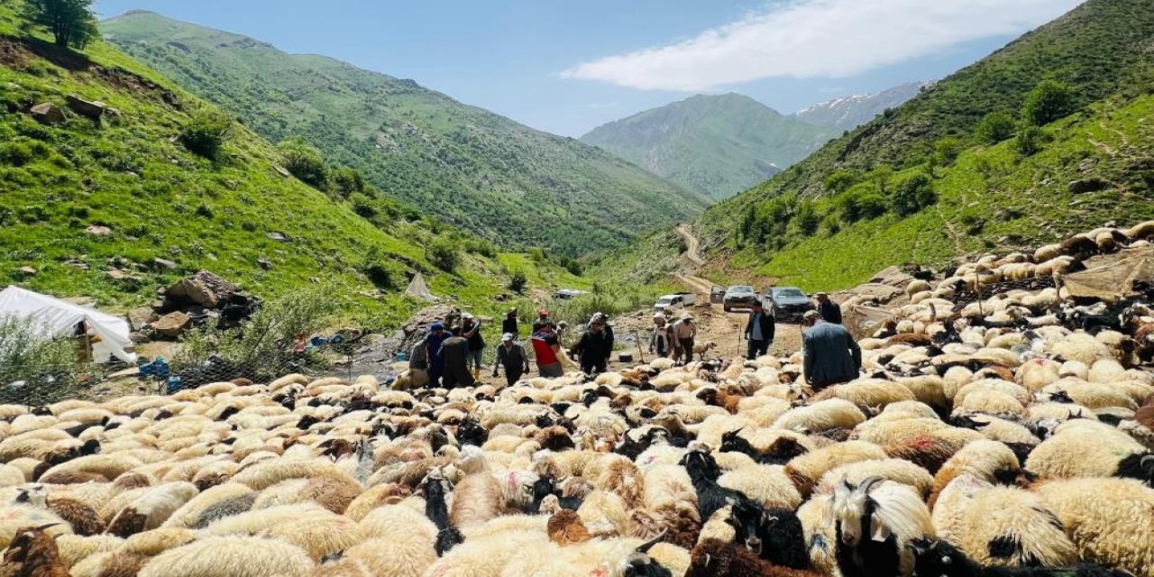 Şap hastalığına karşı ekipler seferber oldu