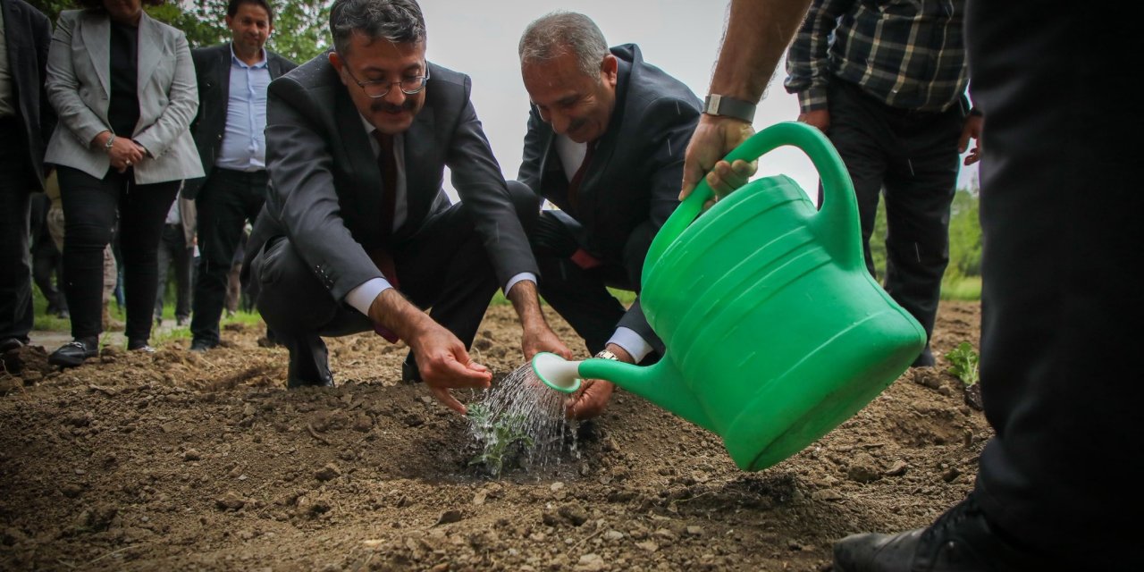 Vali Ali Çelik “Bu toprakları birlikte yeşerteceğiz”