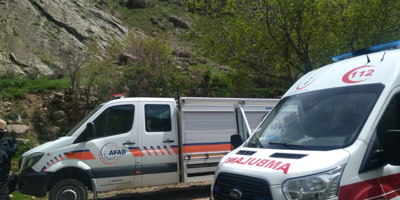 Hakkari'de 1 kişi dağda düştü-Kurtarma çalışmaları sürüyor