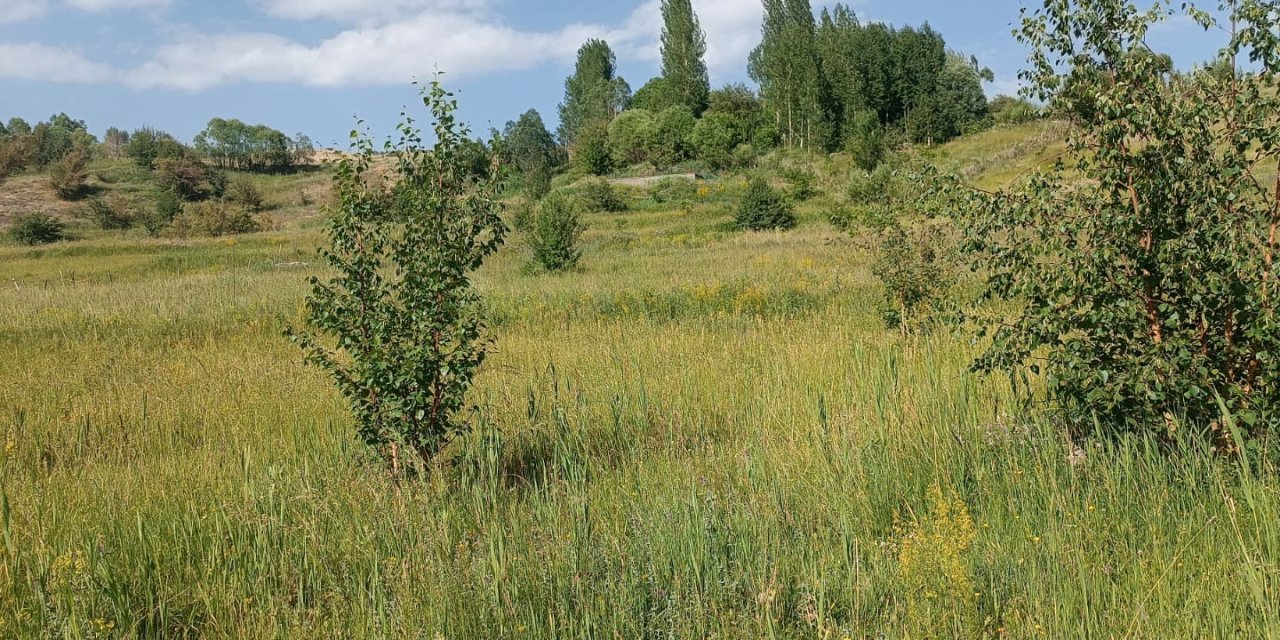 Otluca Köyü’nde satılık bin metrekare arsa