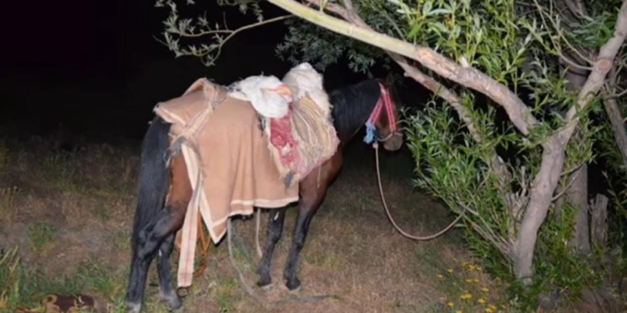 Katırla yurda sokulan 97 kilogram uyuşturucu ele geçirildi
