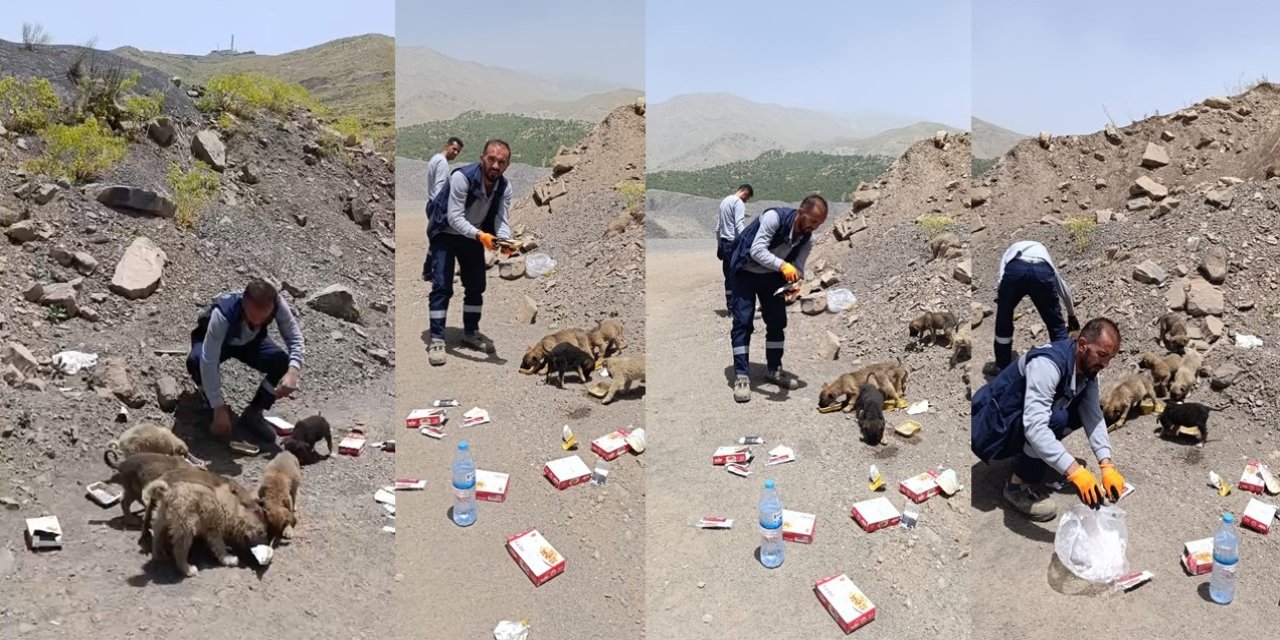 VEDAŞ ekibinden hayvanseverlik dersi