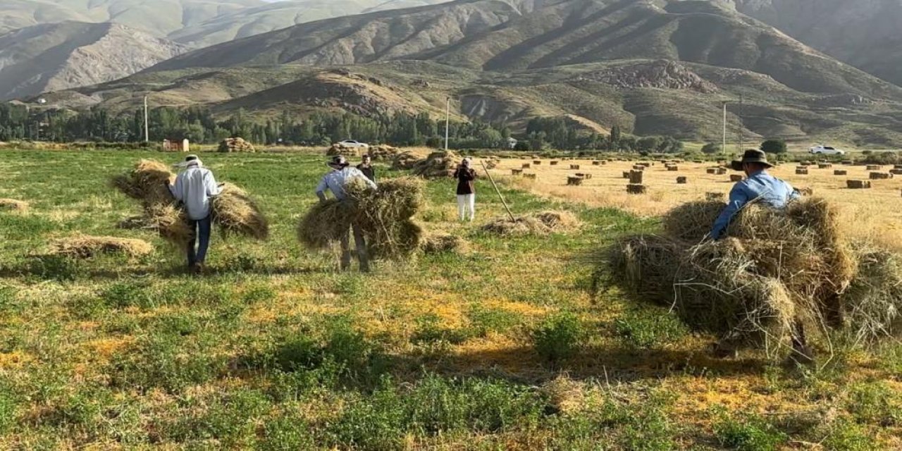 Kavurucu sıcakta kış hazırlığı