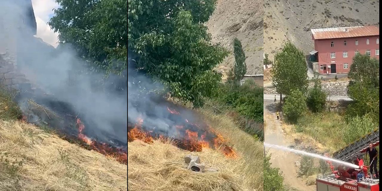 Hakkari'de 1 ayda 53 anız yangınına müdahale edildi