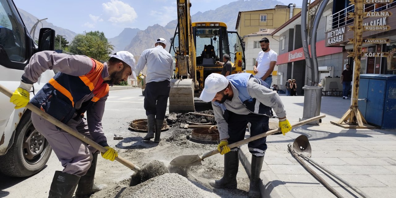 Hakkari'de kavurucu sıcakta Logar mesaisi