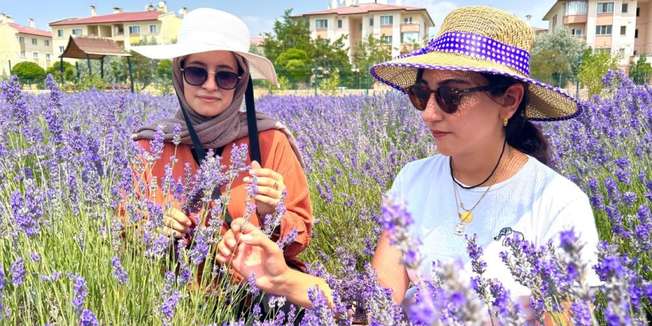 Tıbbi-Aromatik Bitkiler çevreye kattı