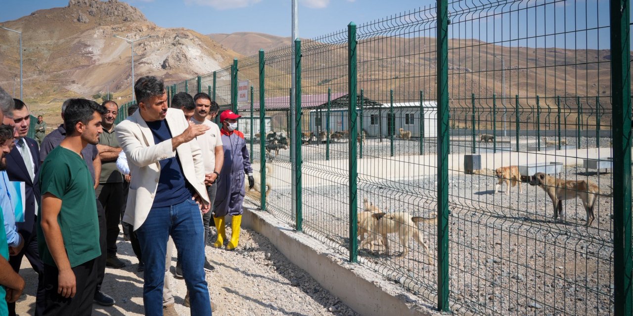 Vali Çelik: Sokak hayvanlarına güvenli yaşam alanları kuruyoruz