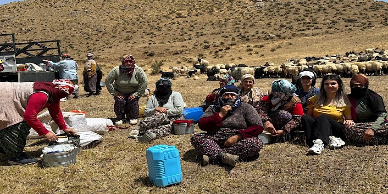 Sütün Kalitesi İçin Hijyen Uyarısı